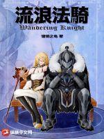 流浪法骑全文TXT