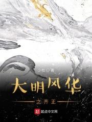 大明风华在线观看完整版