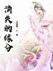 消失的初恋原版