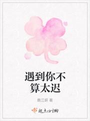 遇见你太迟的说说