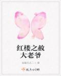红楼之赦大老爷反穿