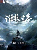 谁非过客什么意思
