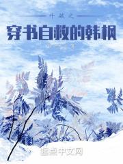 穿越之斗破苍穹主攻