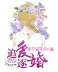 追婚阅读全文