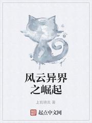 风云崛起全文免费阅读