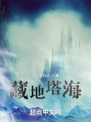 藏地佛塔图片和作用