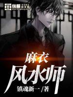 麻衣风水师角色介绍