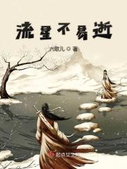 流星即逝的意思