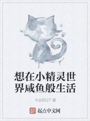 我在小精灵世界当老板