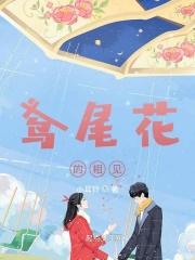 鸢尾花的花