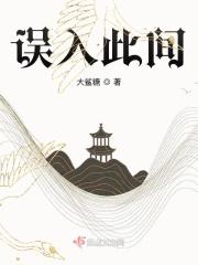 误入意思是什么