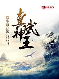 真武神王男主有多少个女人