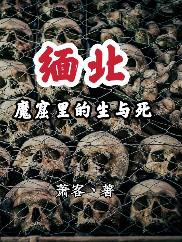 缅北魔窟里的生与死燕子是什么
