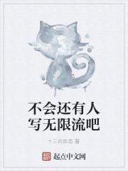有没有无限流推荐