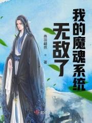 我的无敌系统免费阅读