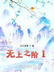 无上之尽