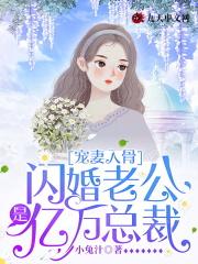 闪婚老公宠妻狂