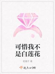 他不是白莲花