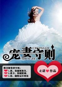 宠妻书免费阅读