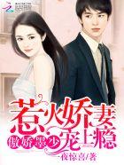 重生霸婿霍不凡结局