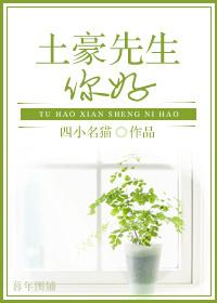 你好土豪全文免费阅读