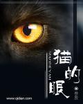 猫的眼睛在黑暗里为什么会发光