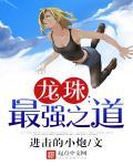 龙珠最强之道第一部