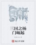 三国之杨氏传奇