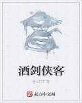 酒剑客酒价格
