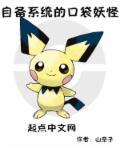 口袋妖怪携带道具介绍