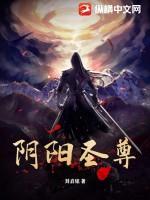 阴阳圣辰主角
