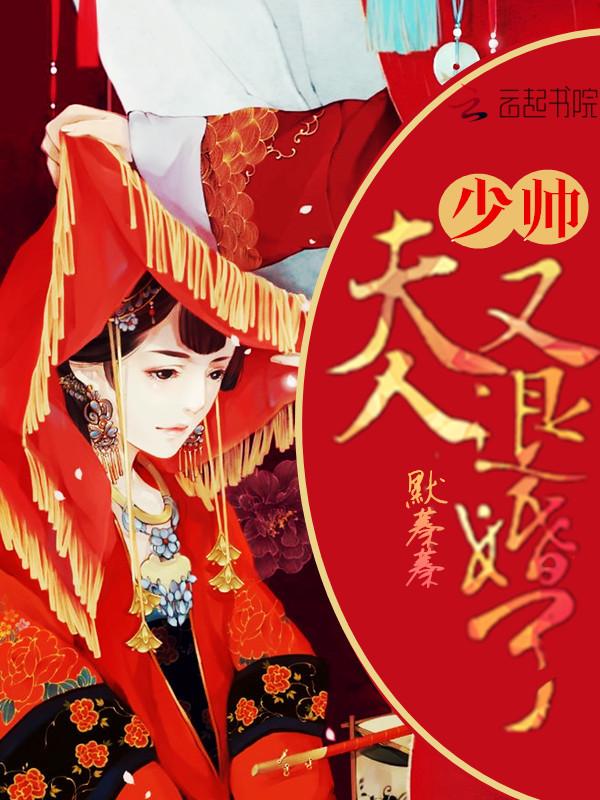 少帅夫人又退婚了txt