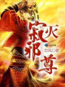 寂灭天尊全集