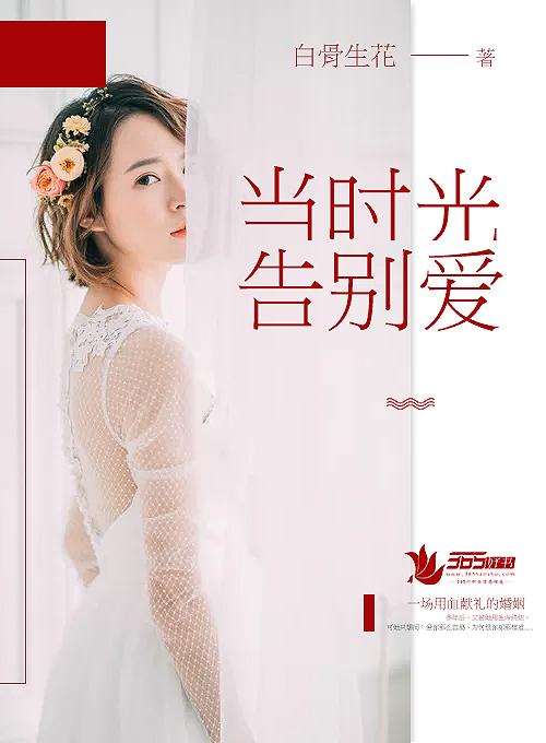 当时光已逝简介