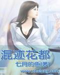 混迹花都叶飞扬txt