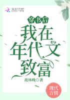 我在年代文致富 夜林晚