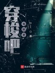 穿梭vnp