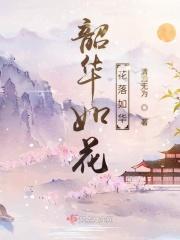 韶华如流是什么意思