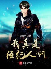 我大概是个假经纪人