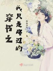 我只是路过什么意思