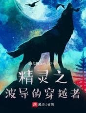 宠物小精灵之波导王者