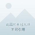 仙道苍黄